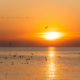 Coucher de soleil sur l'Île de Ré